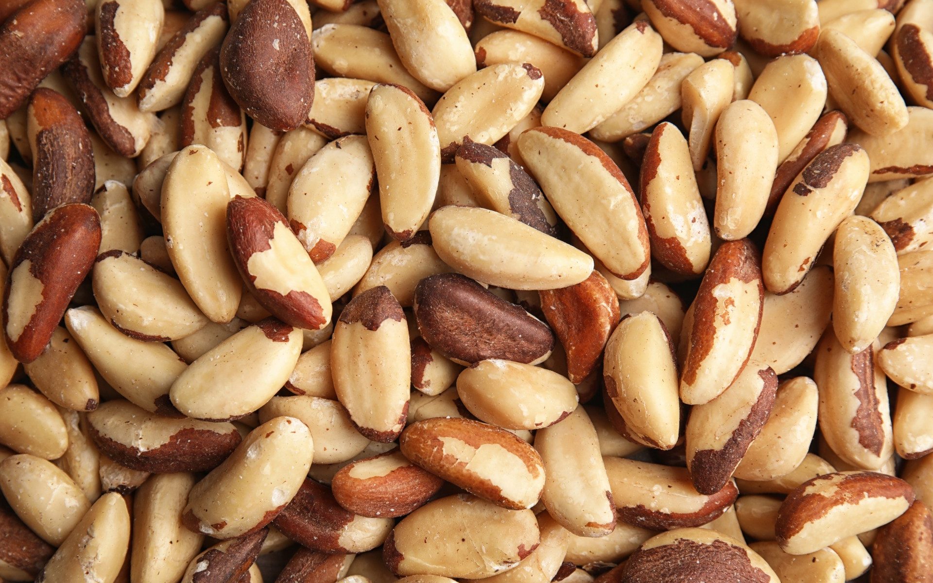 Brazil Nut